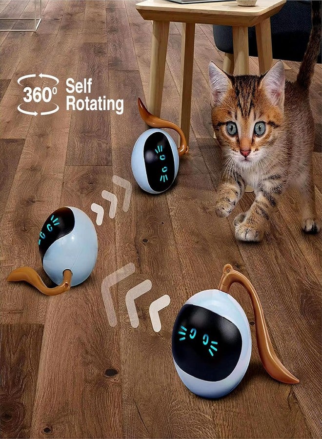 WIDRIA TR Tinsrom Interactive Cat Toy - USB Rechargeable for Kittens & Toys for Cats by TR Tinsrom - Image 4
